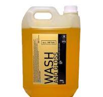 Shampoo Wash And Gloss 5 Lts